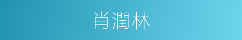 肖潤林的同義詞