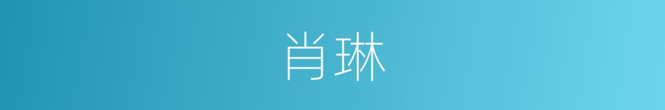 肖琳的同义词