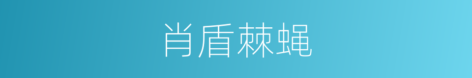肖盾棘蝇的同义词