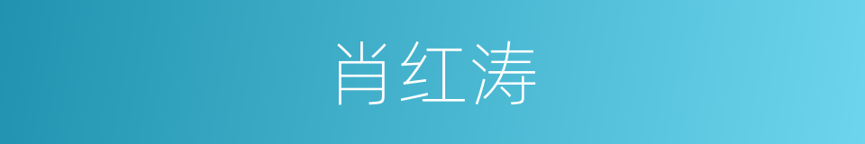 肖红涛的同义词