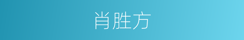肖胜方的同义词
