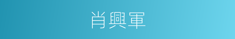 肖興軍的同義詞