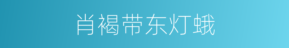 肖褐带东灯蛾的同义词