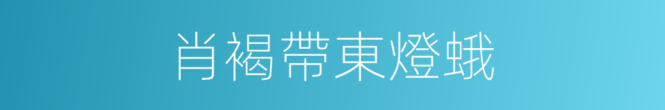 肖褐帶東燈蛾的同義詞