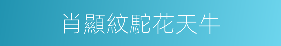 肖顯紋駝花天牛的同義詞