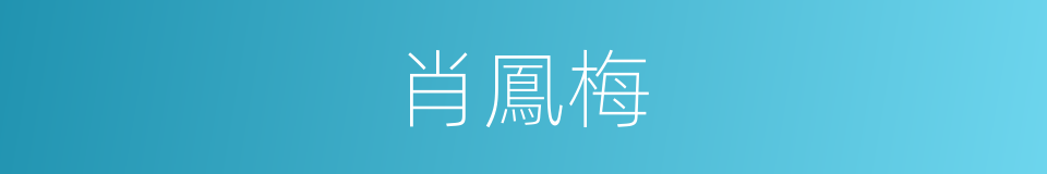 肖鳳梅的同義詞