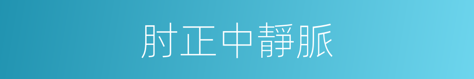 肘正中靜脈的同義詞
