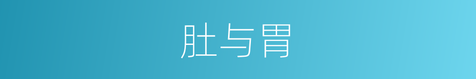 肚与胃的同义词