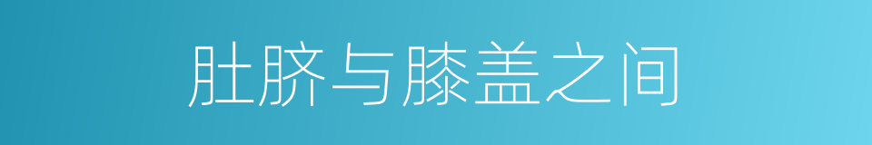 肚脐与膝盖之间的同义词