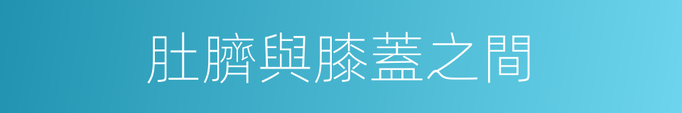 肚臍與膝蓋之間的同義詞