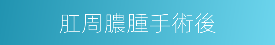 肛周膿腫手術後的同義詞