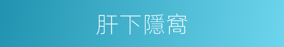 肝下隱窩的同義詞
