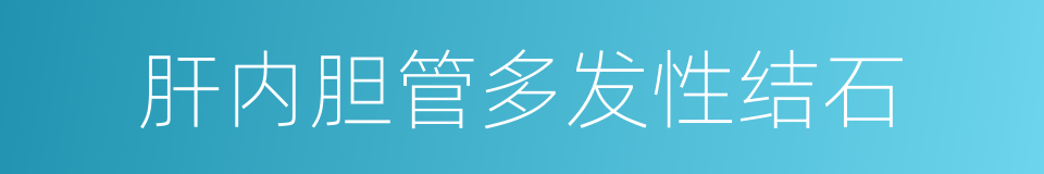 肝内胆管多发性结石的同义词