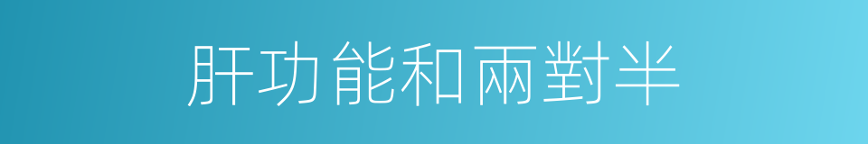 肝功能和兩對半的同義詞
