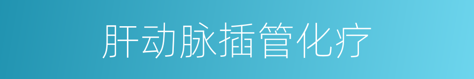 肝动脉插管化疗的同义词