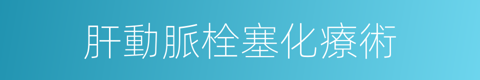 肝動脈栓塞化療術的同義詞