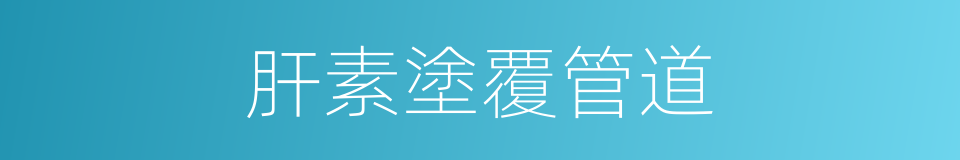 肝素塗覆管道的同義詞