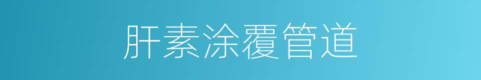 肝素涂覆管道的同义词