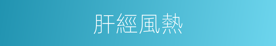 肝經風熱的同義詞