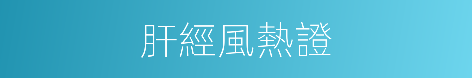 肝經風熱證的同義詞