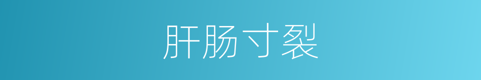 肝肠寸裂的意思
