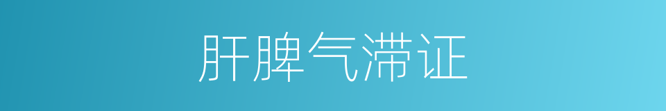 肝脾气滞证的同义词