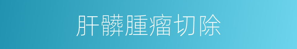 肝髒腫瘤切除的同義詞