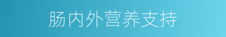 肠内外营养支持的同义词