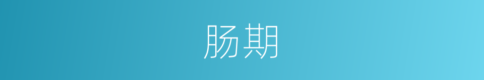 肠期的同义词