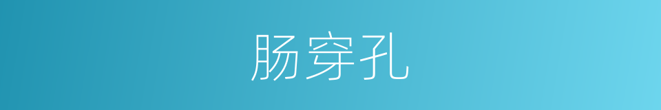 肠穿孔的意思