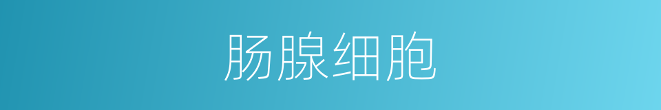 肠腺细胞的同义词