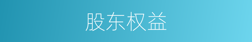 股东权益的意思