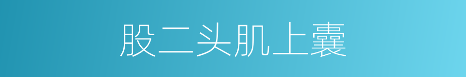 股二头肌上囊的同义词