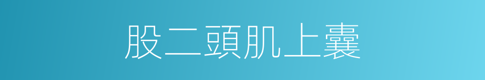 股二頭肌上囊的同義詞