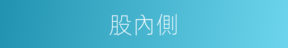 股內側的同義詞