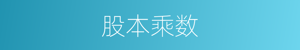 股本乘数的同义词