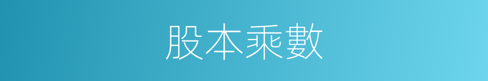 股本乘數的同義詞