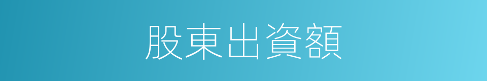 股東出資額的同義詞