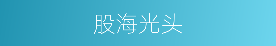股海光头的同义词
