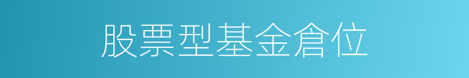 股票型基金倉位的同義詞