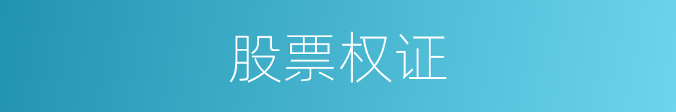 股票权证的同义词
