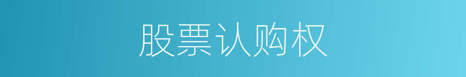股票认购权的同义词