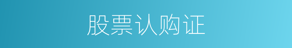 股票认购证的同义词