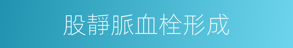 股靜脈血栓形成的同義詞