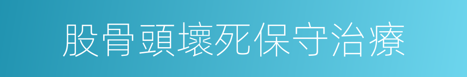 股骨頭壞死保守治療的同義詞