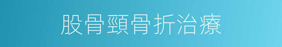 股骨頸骨折治療的同義詞