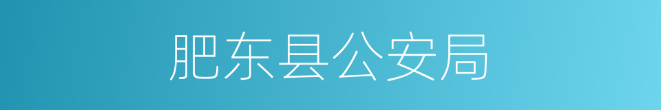肥东县公安局的同义词