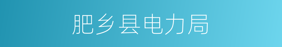 肥乡县电力局的同义词