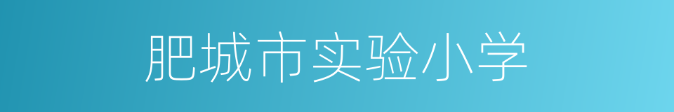 肥城市实验小学的同义词