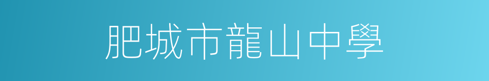 肥城市龍山中學的同義詞